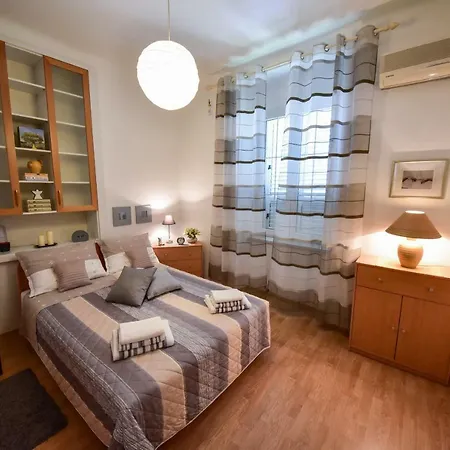 Viola * Zadar