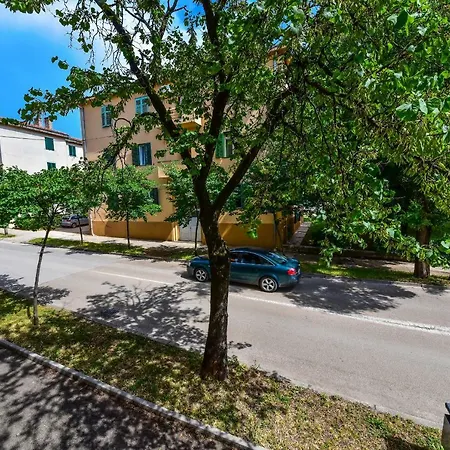 Viola Apartment