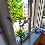 Viola Apartmán *